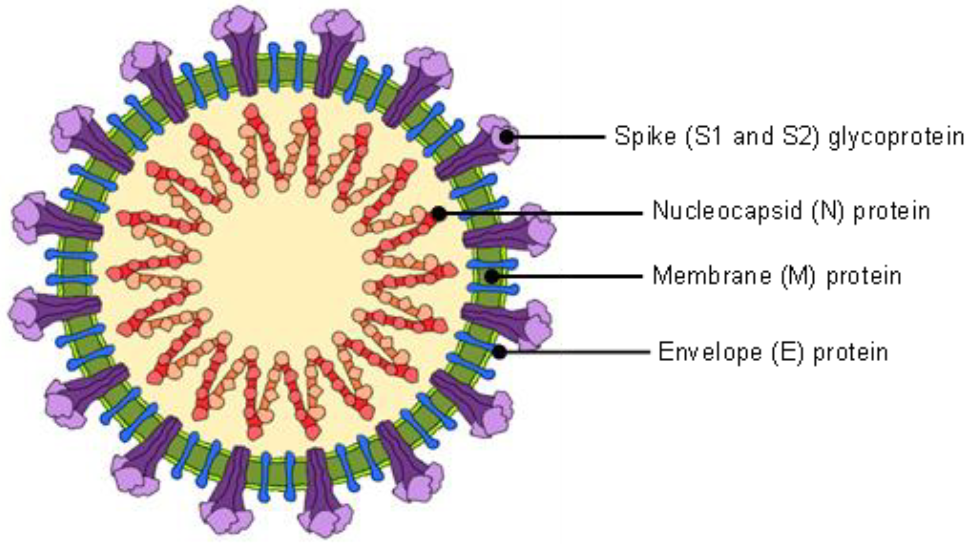 Sensors 22 04391 g001