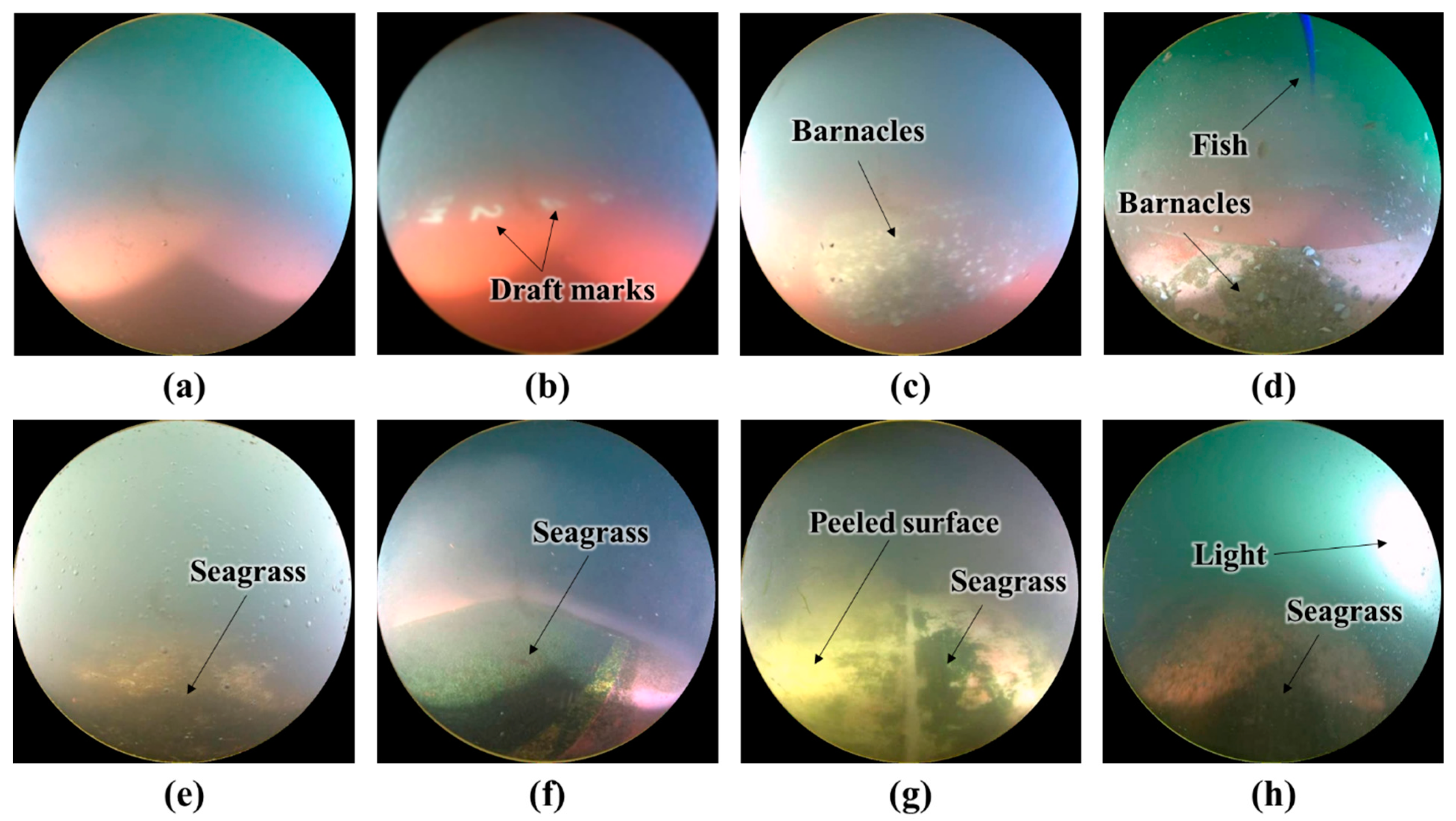 Sensors 22 04392 g004