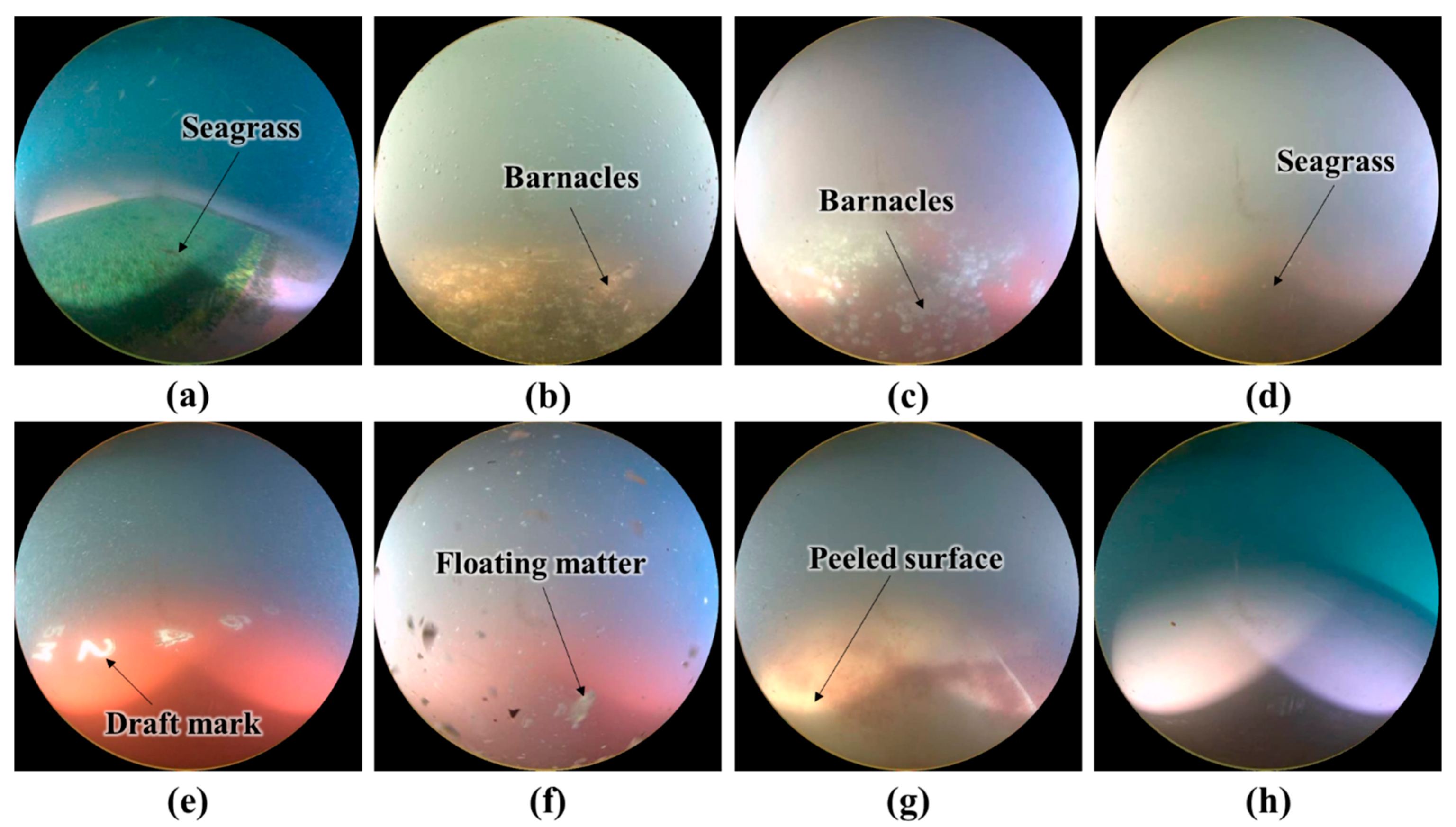 Sensors 22 04392 g006