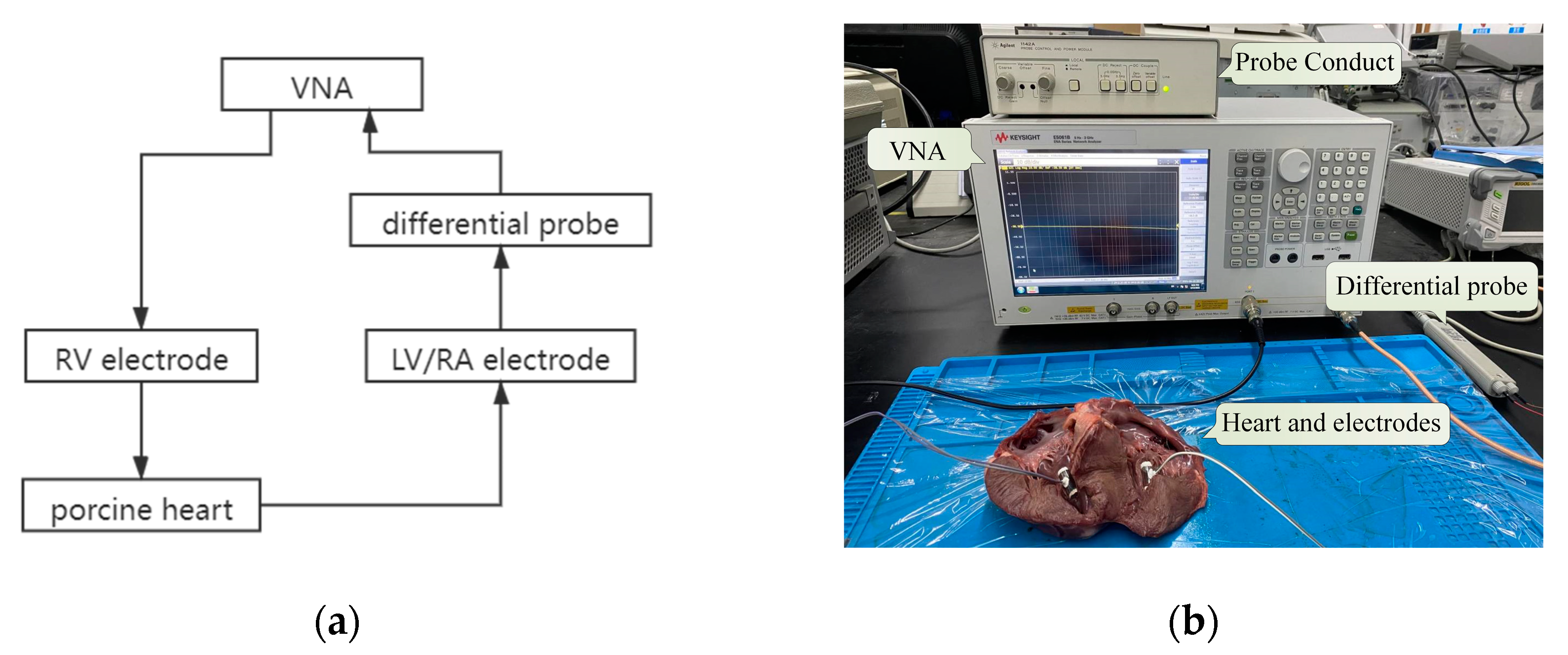 Sensors 22 04455 g004