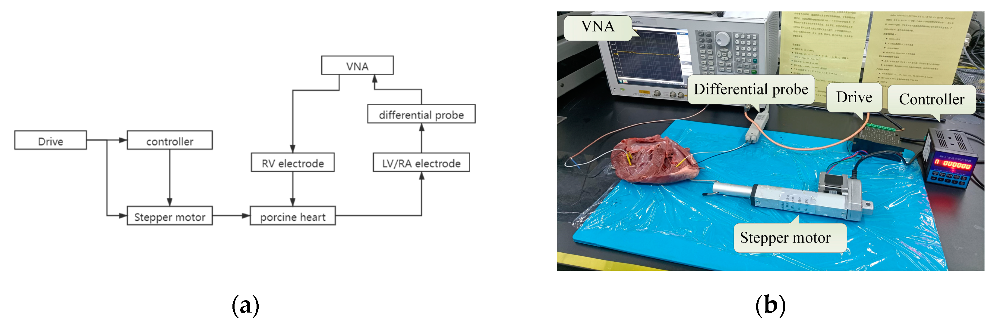 Sensors 22 04455 g005