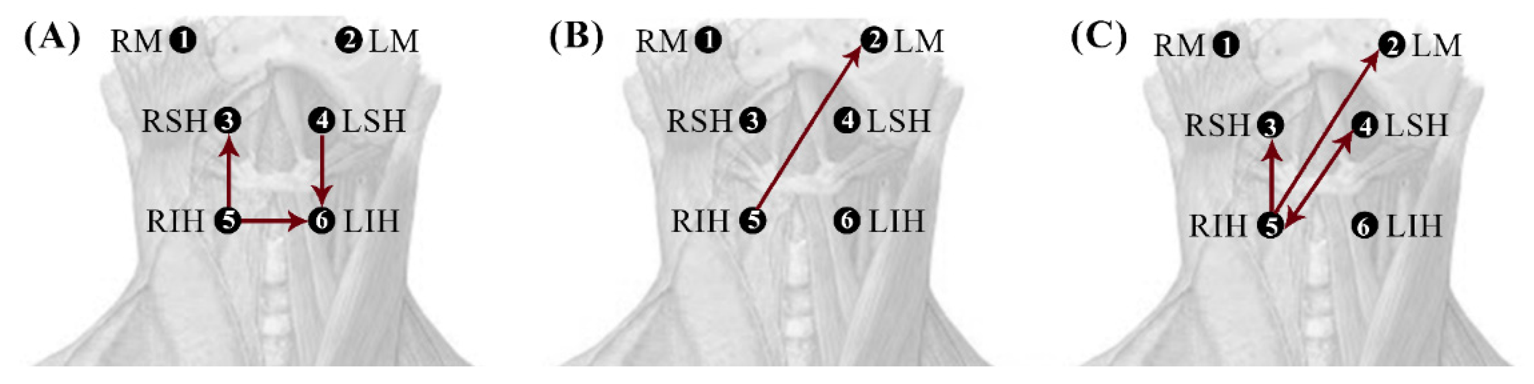 Sensors 22 04513 g005