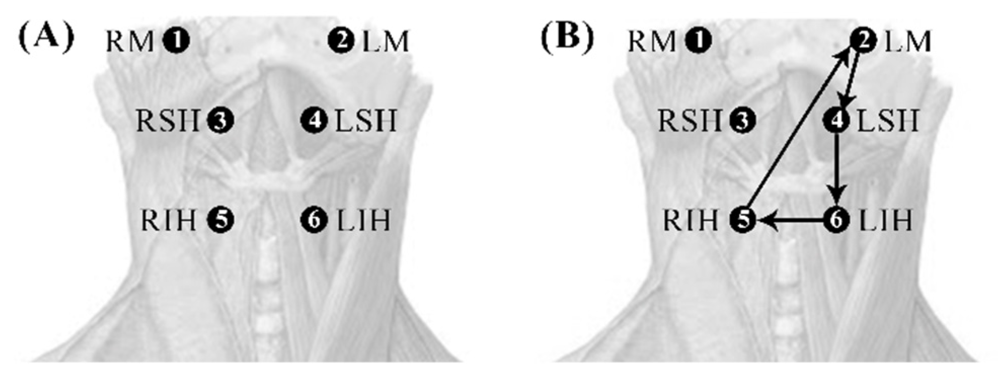 Sensors 22 04513 g006