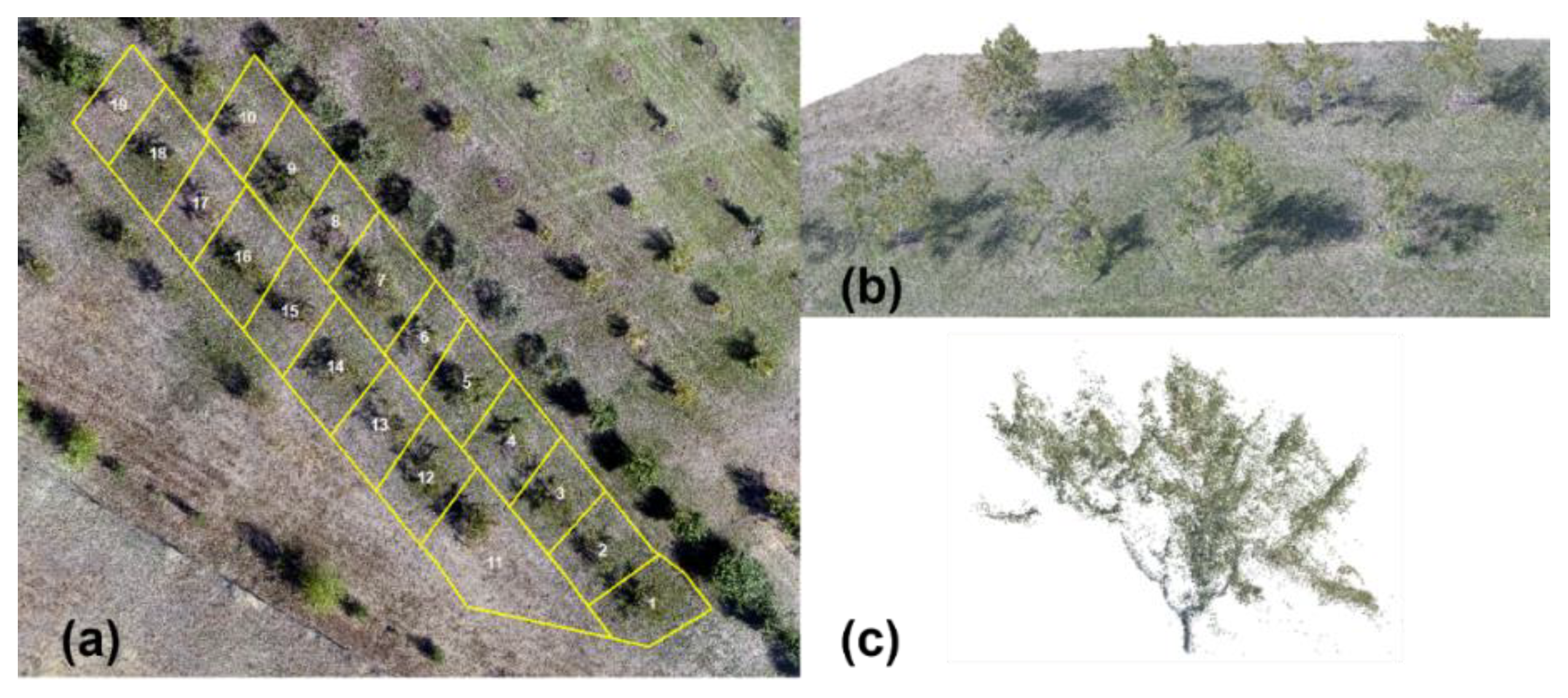 Sensors 22 04619 g004