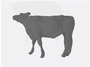 Sensors 22 04635 i005