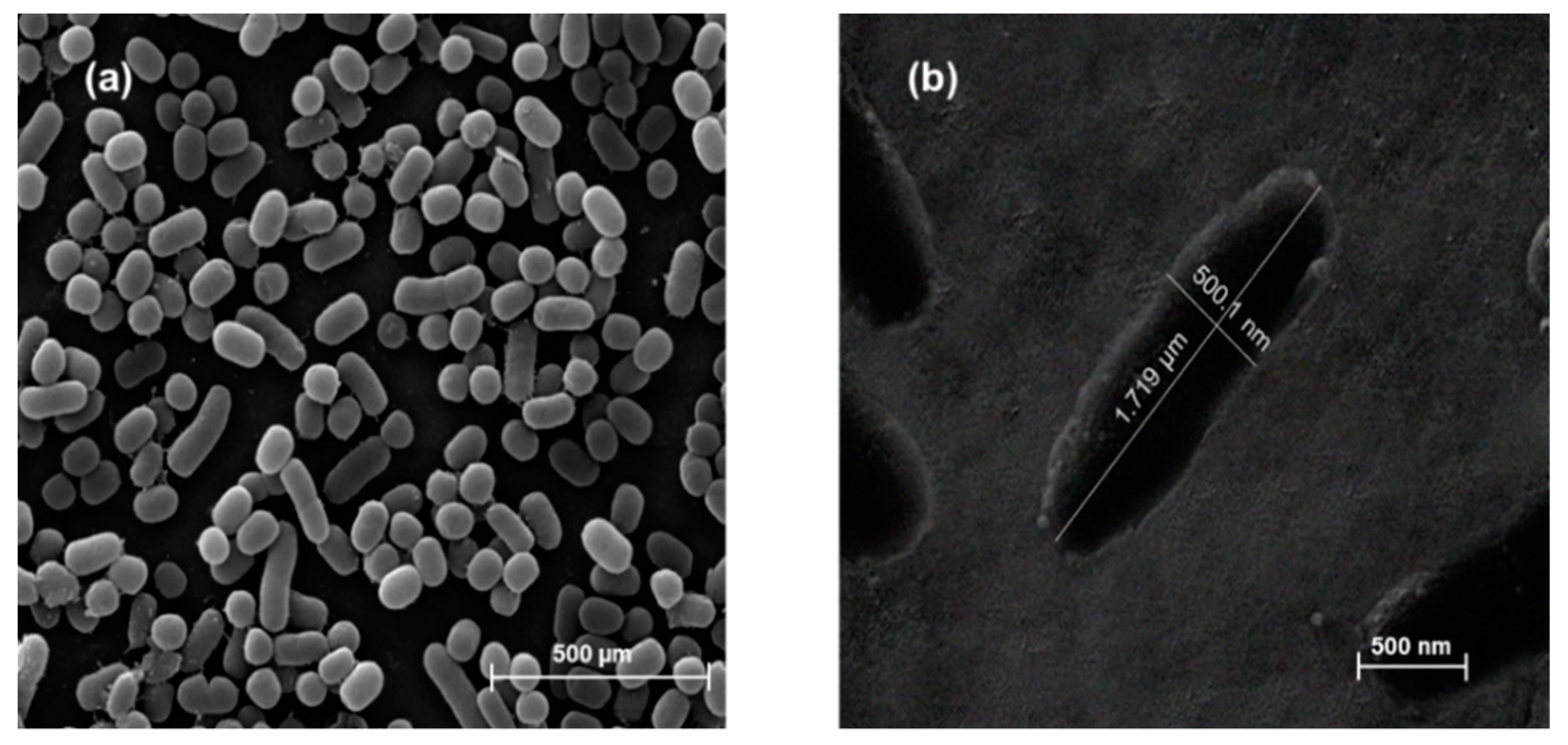 Sensors 22 04638 g003