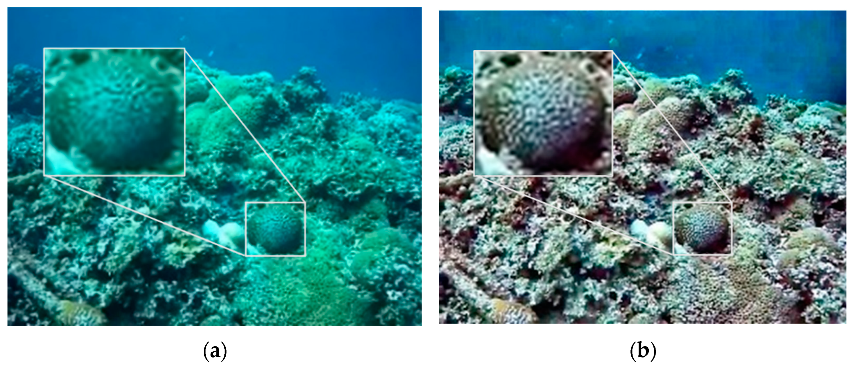 Sensors 22 04657 g005a