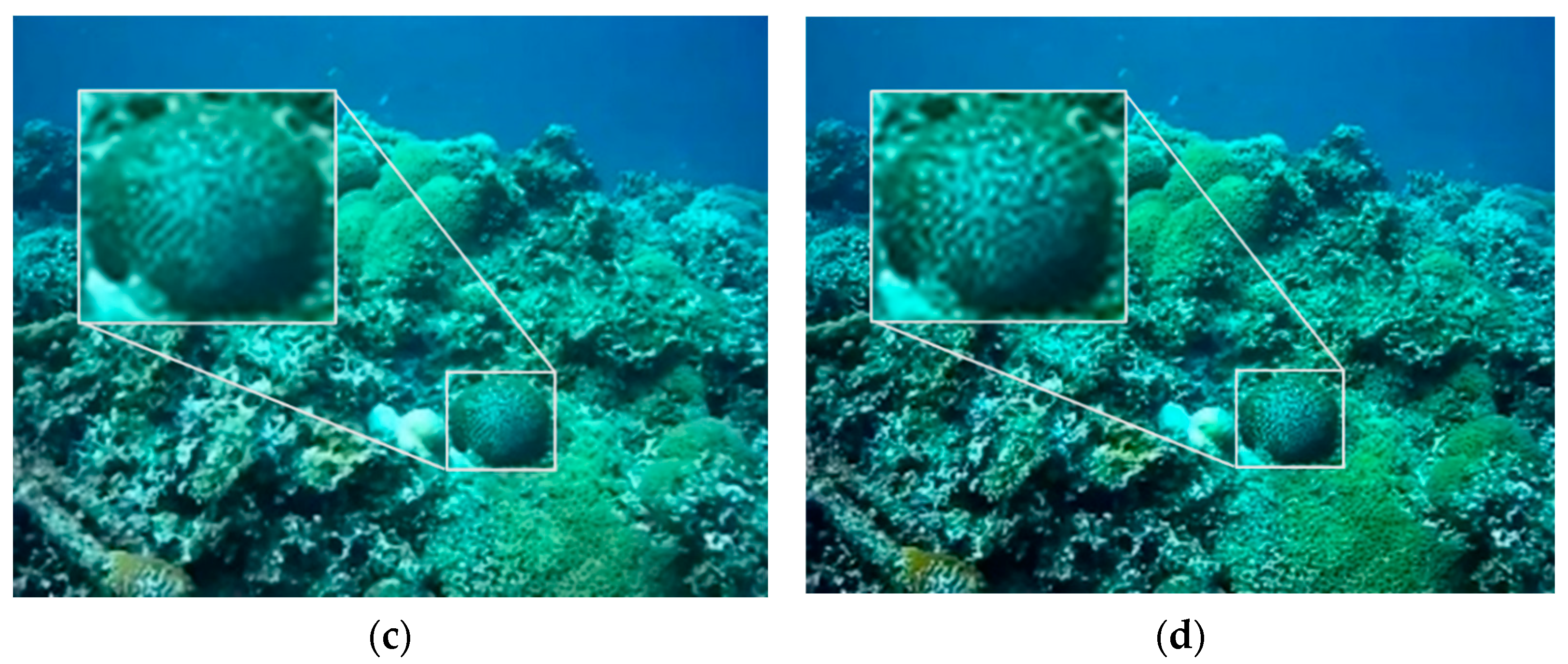 Sensors 22 04657 g005b