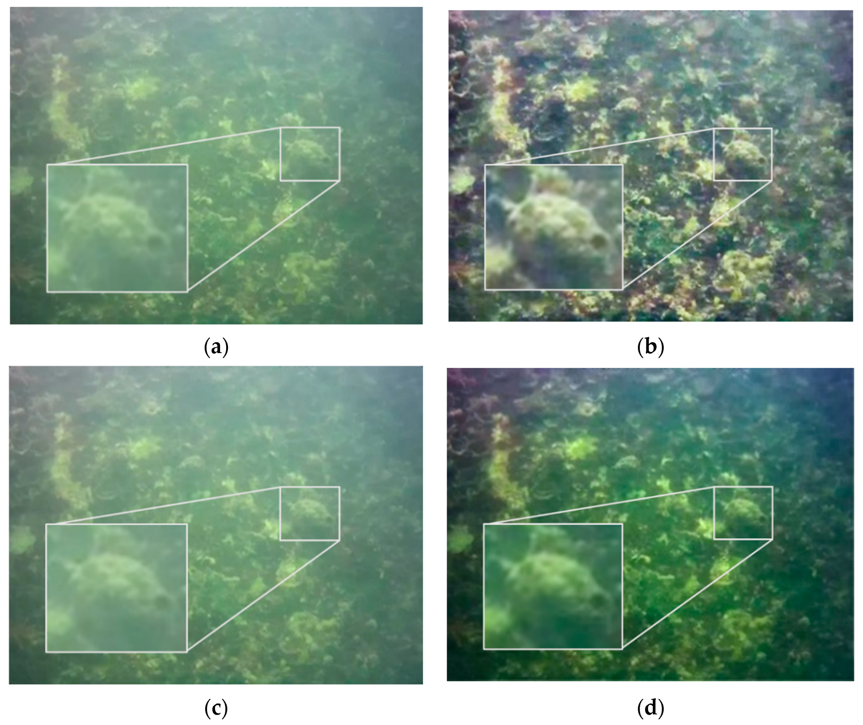 Sensors 22 04657 g006