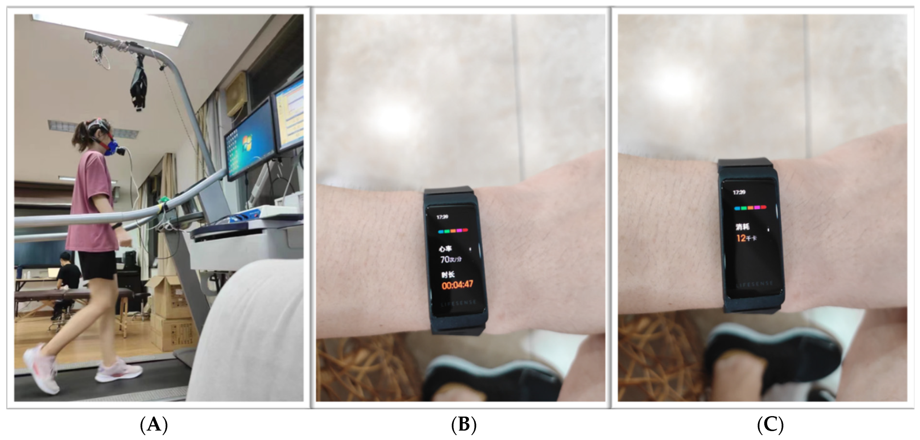 Sensors 22 04661 g001