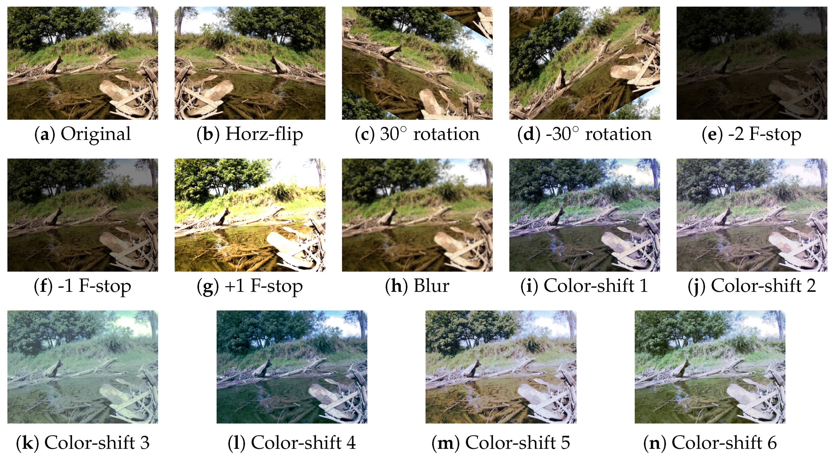 Sensors 22 04681 g004