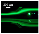 Sensors 22 04709 i001