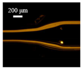 Sensors 22 04709 i002