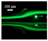 Sensors 22 04709 i003