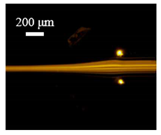 Sensors 22 04709 i004