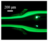 Sensors 22 04709 i005