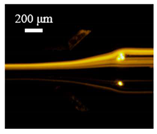 Sensors 22 04709 i006