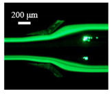 Sensors 22 04709 i007