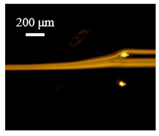 Sensors 22 04709 i008