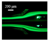 Sensors 22 04709 i009