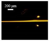 Sensors 22 04709 i010