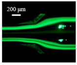 Sensors 22 04709 i011