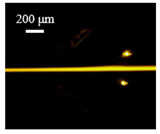 Sensors 22 04709 i012