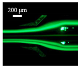 Sensors 22 04709 i013