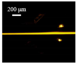 Sensors 22 04709 i014