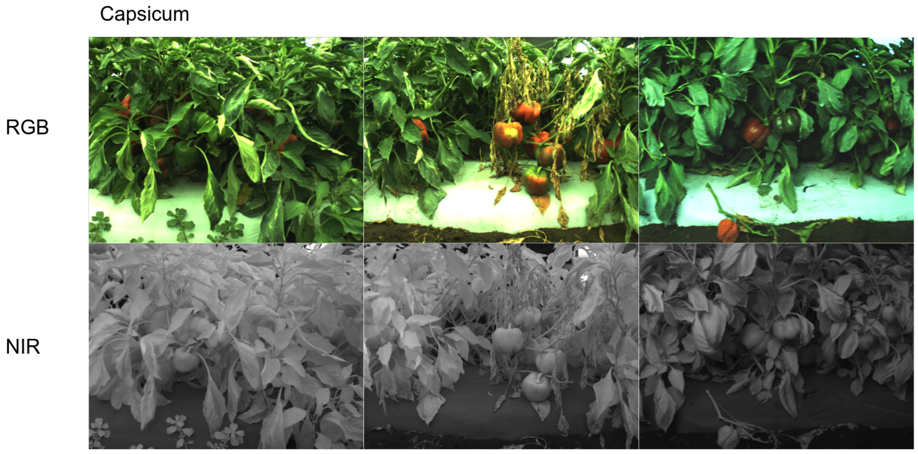 Sensors 22 04721 g007