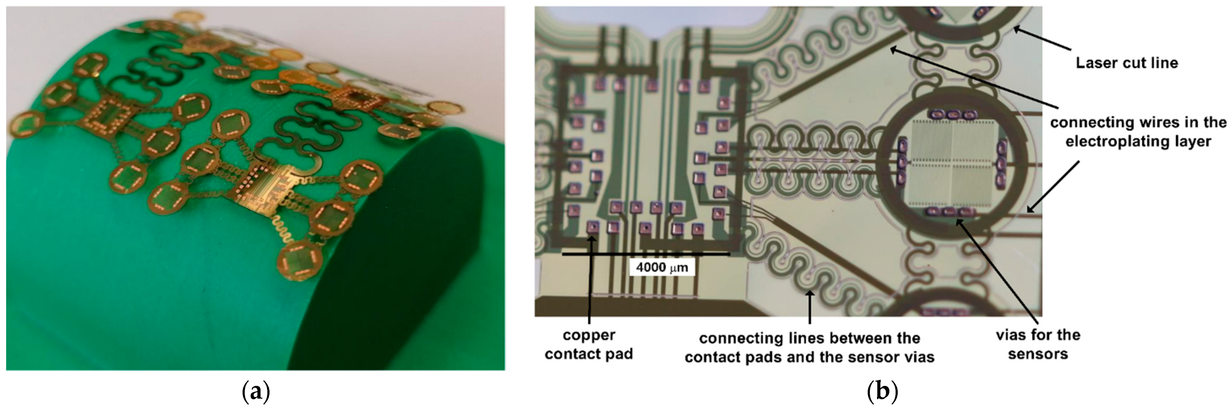 Sensors 22 04723 g006