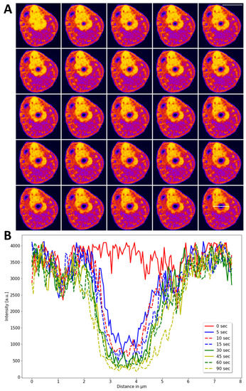 Sensors 22 04731 g0a3