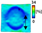 Sensors 22 04746 i037