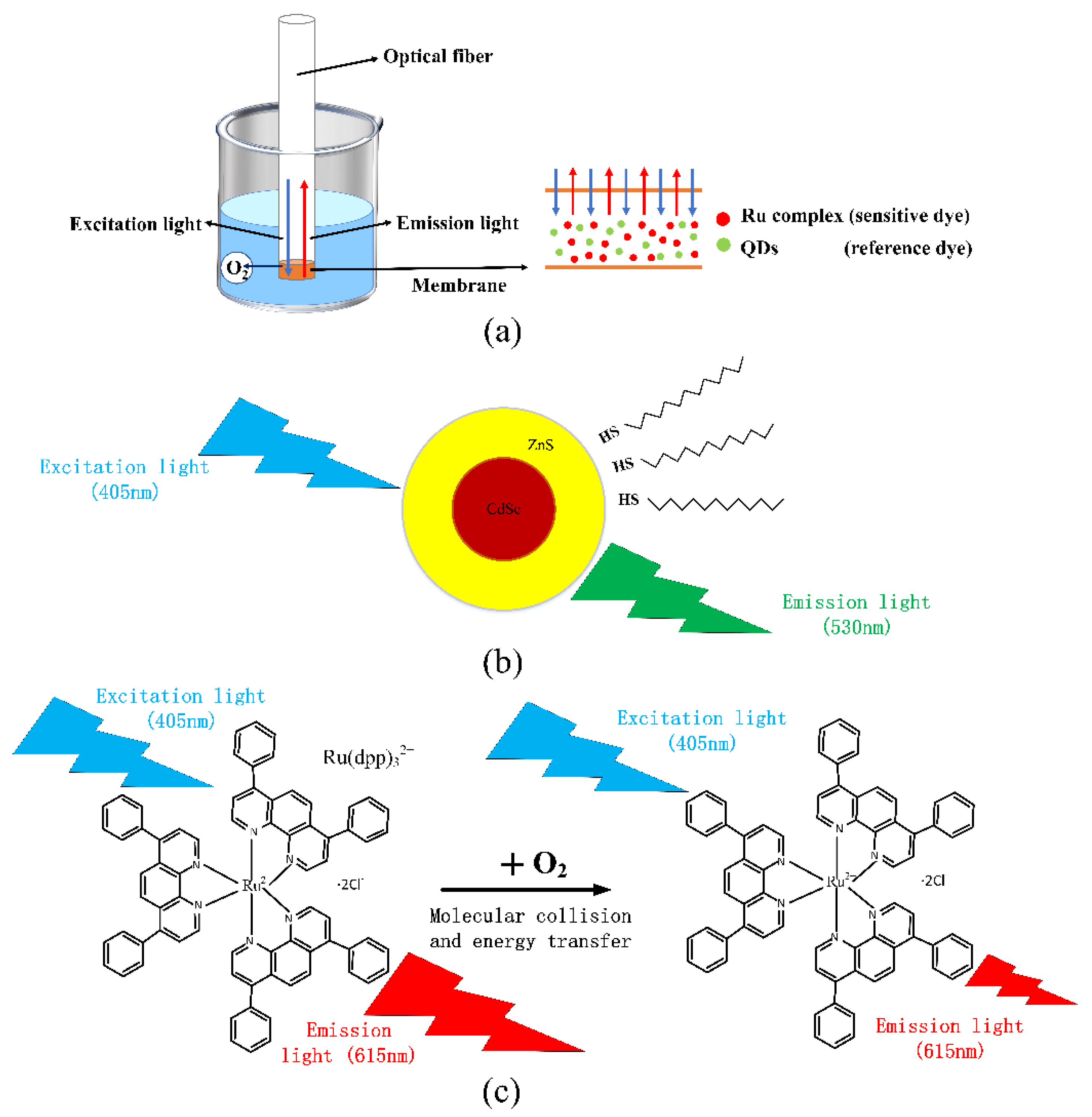 Sensors 22 04811 g001