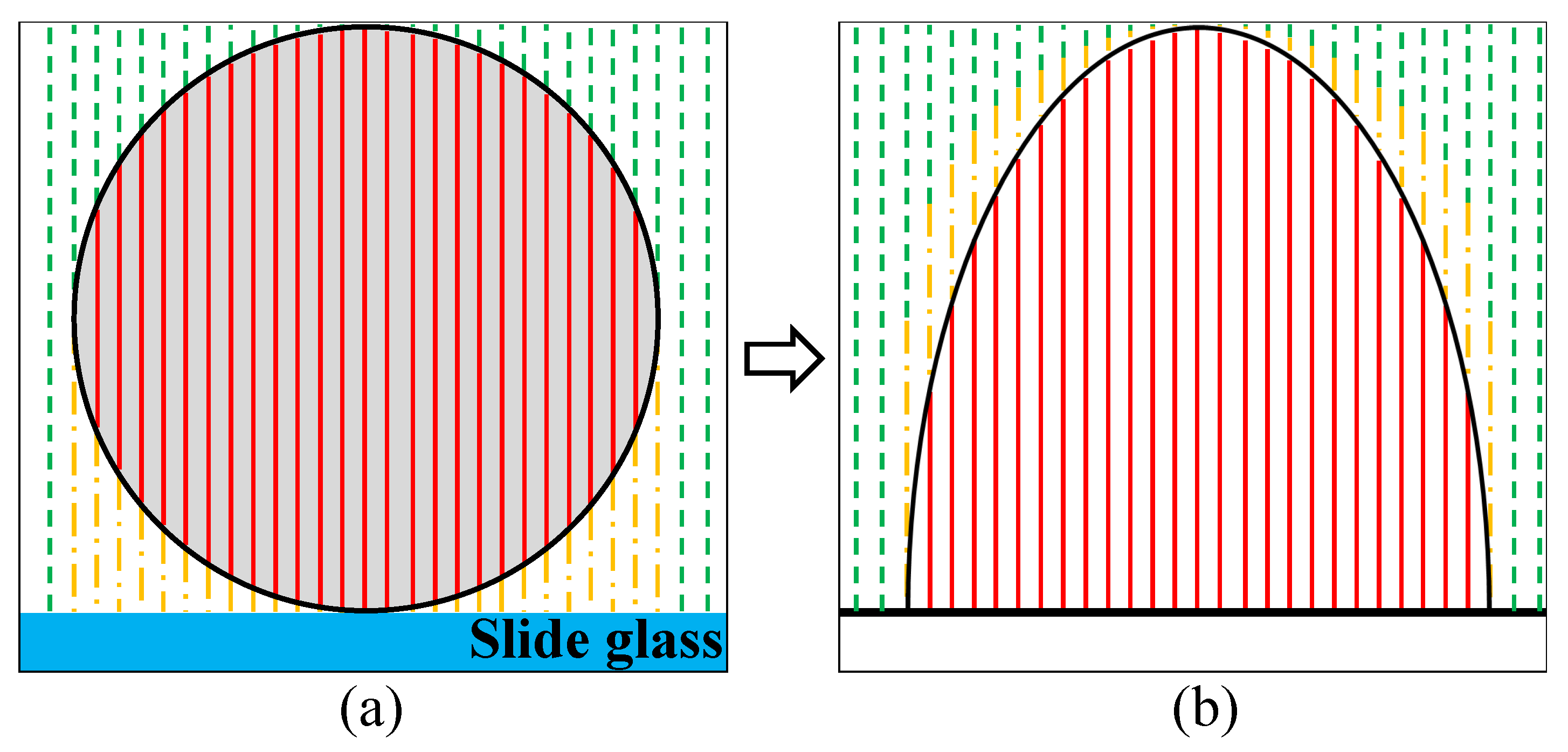 Sensors 22 04844 g002