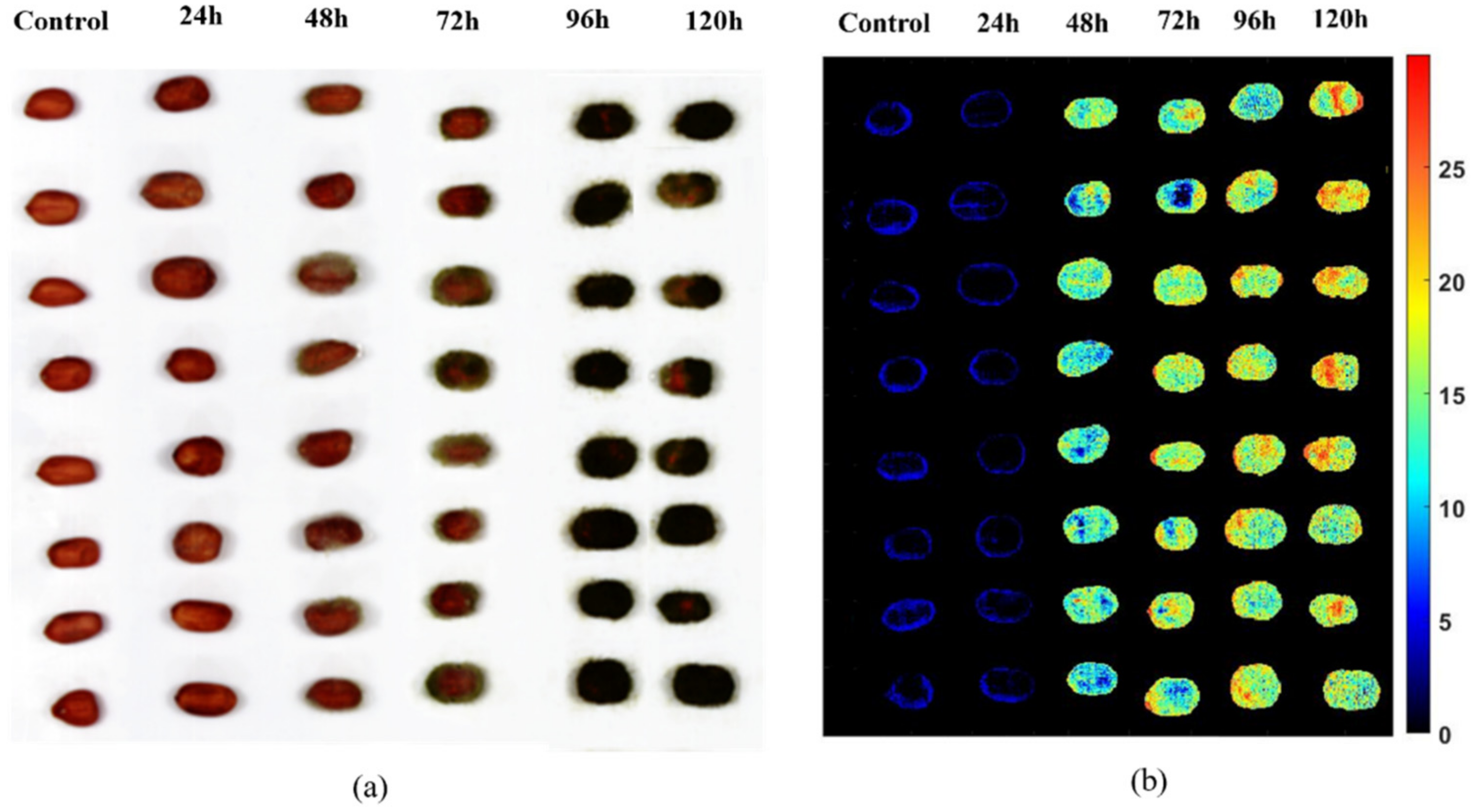 Sensors 22 04864 g005
