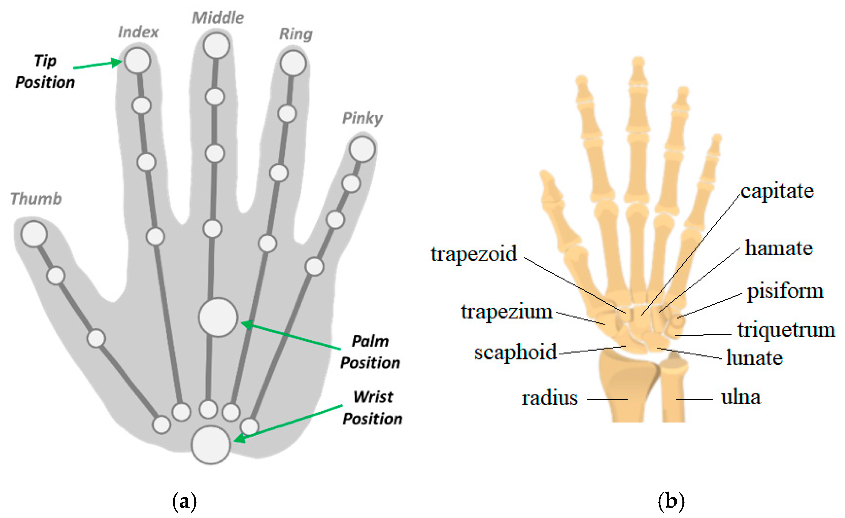 Sensors 22 04880 g001