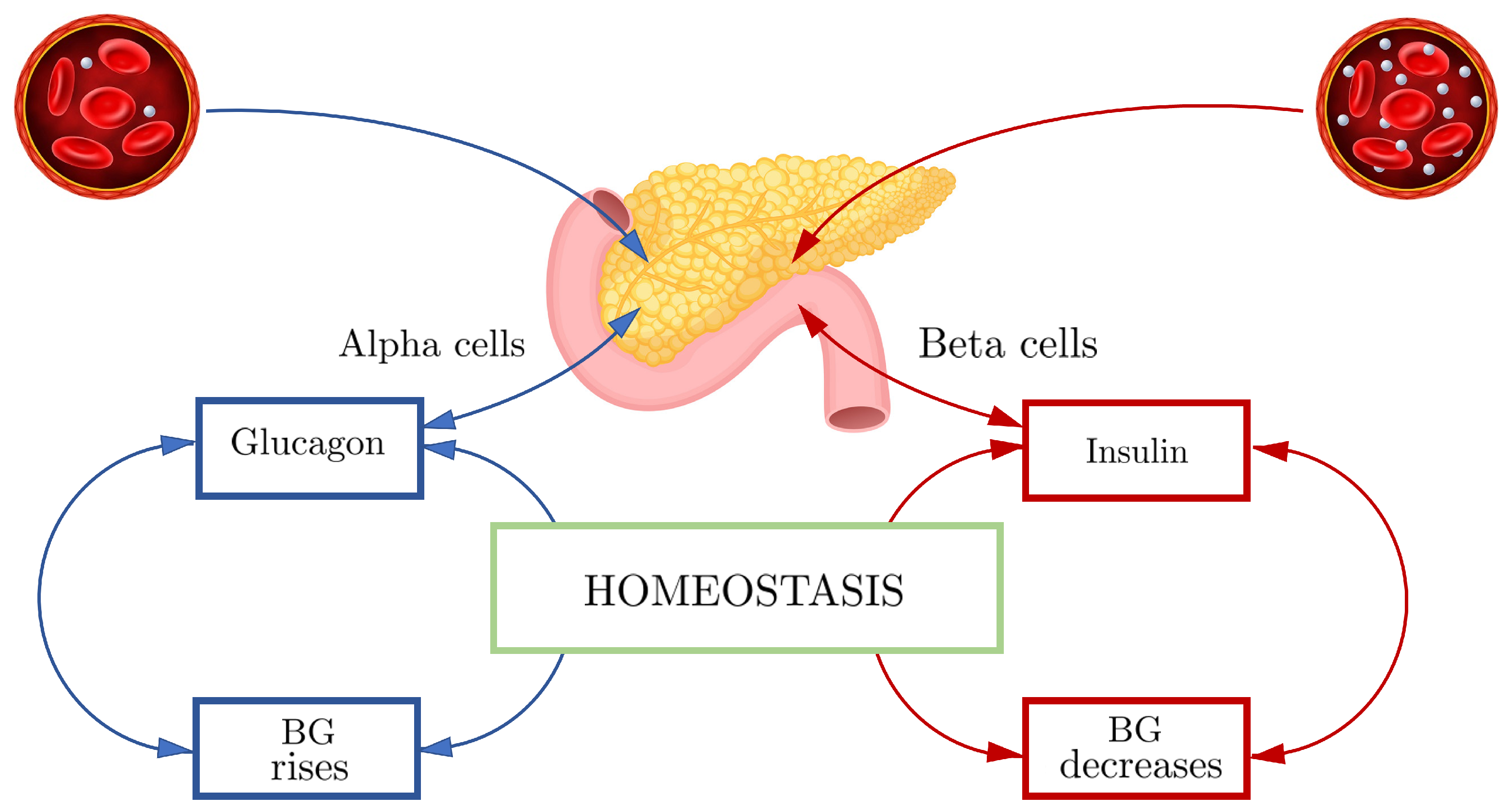 Sensors 22 04890 g002