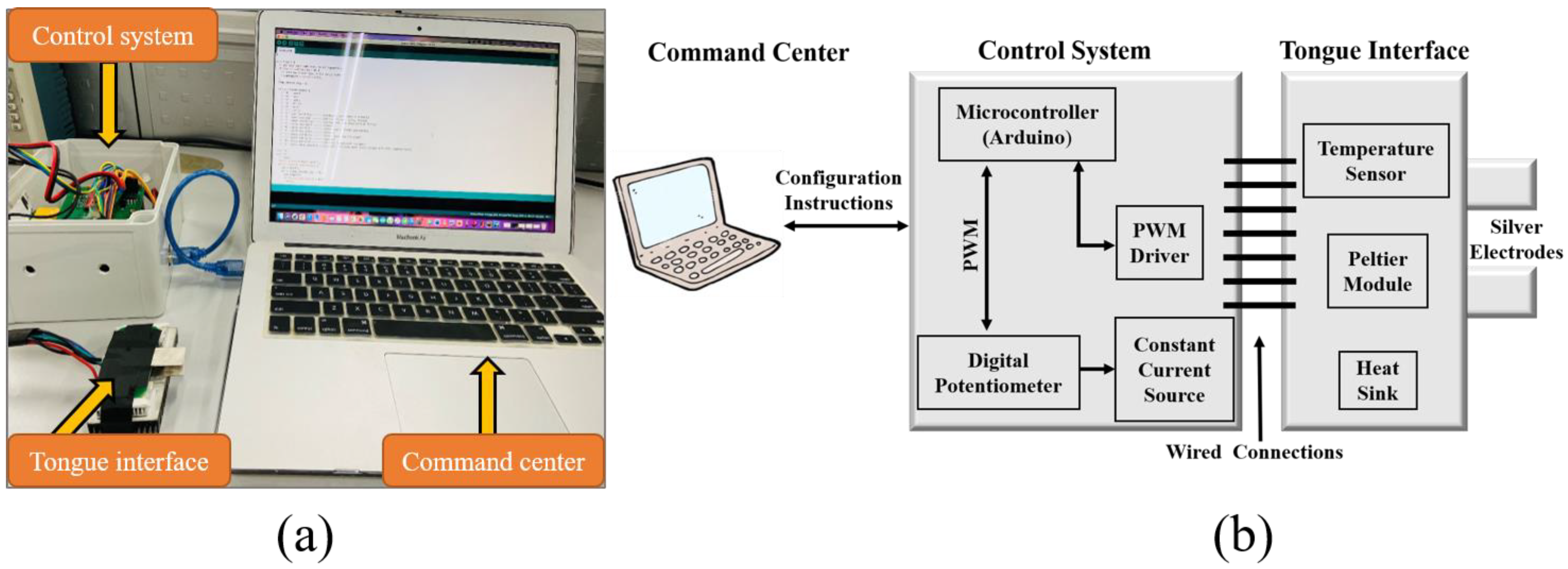 Sensors 22 04976 g001