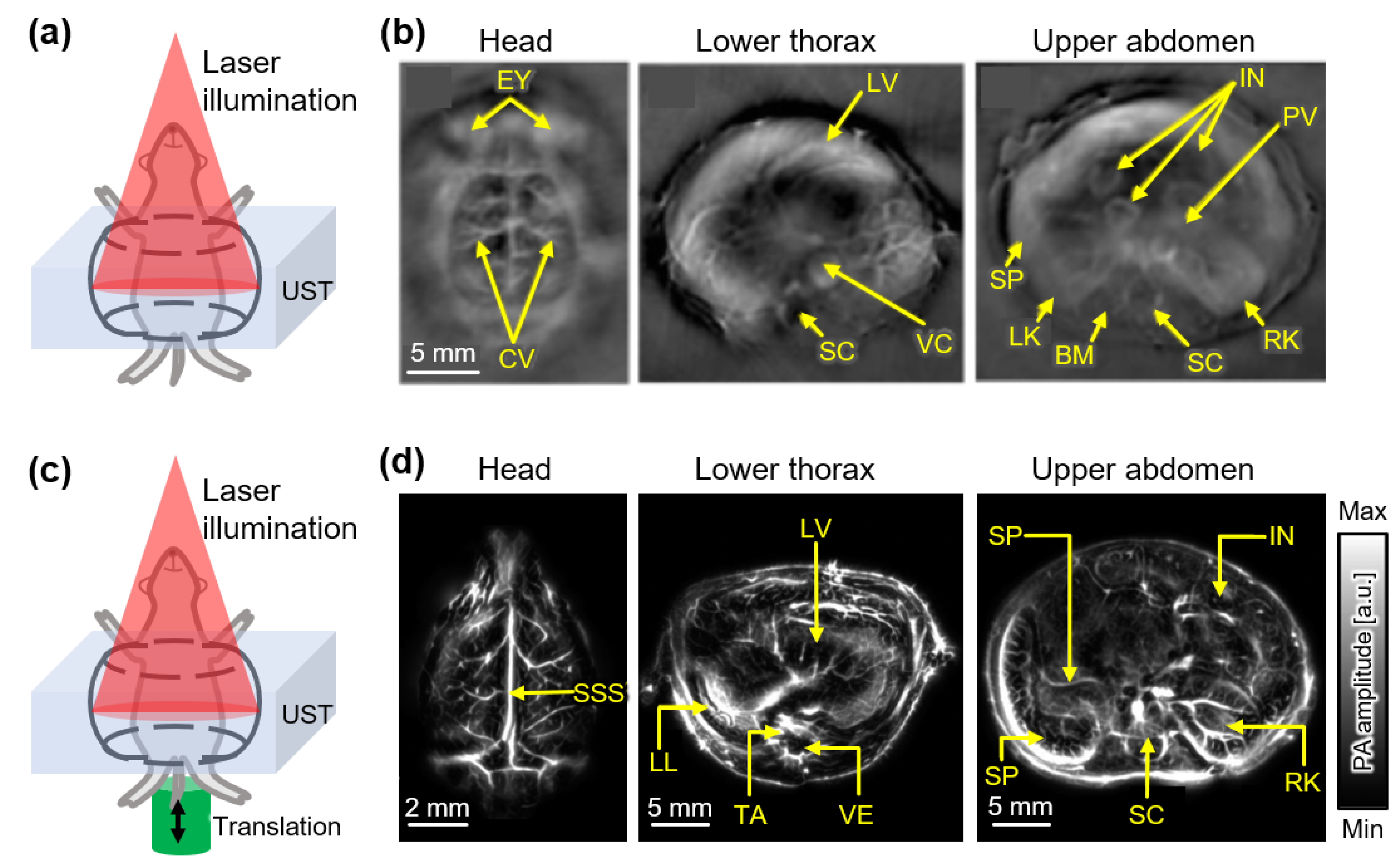 Sensors 22 05130 g004