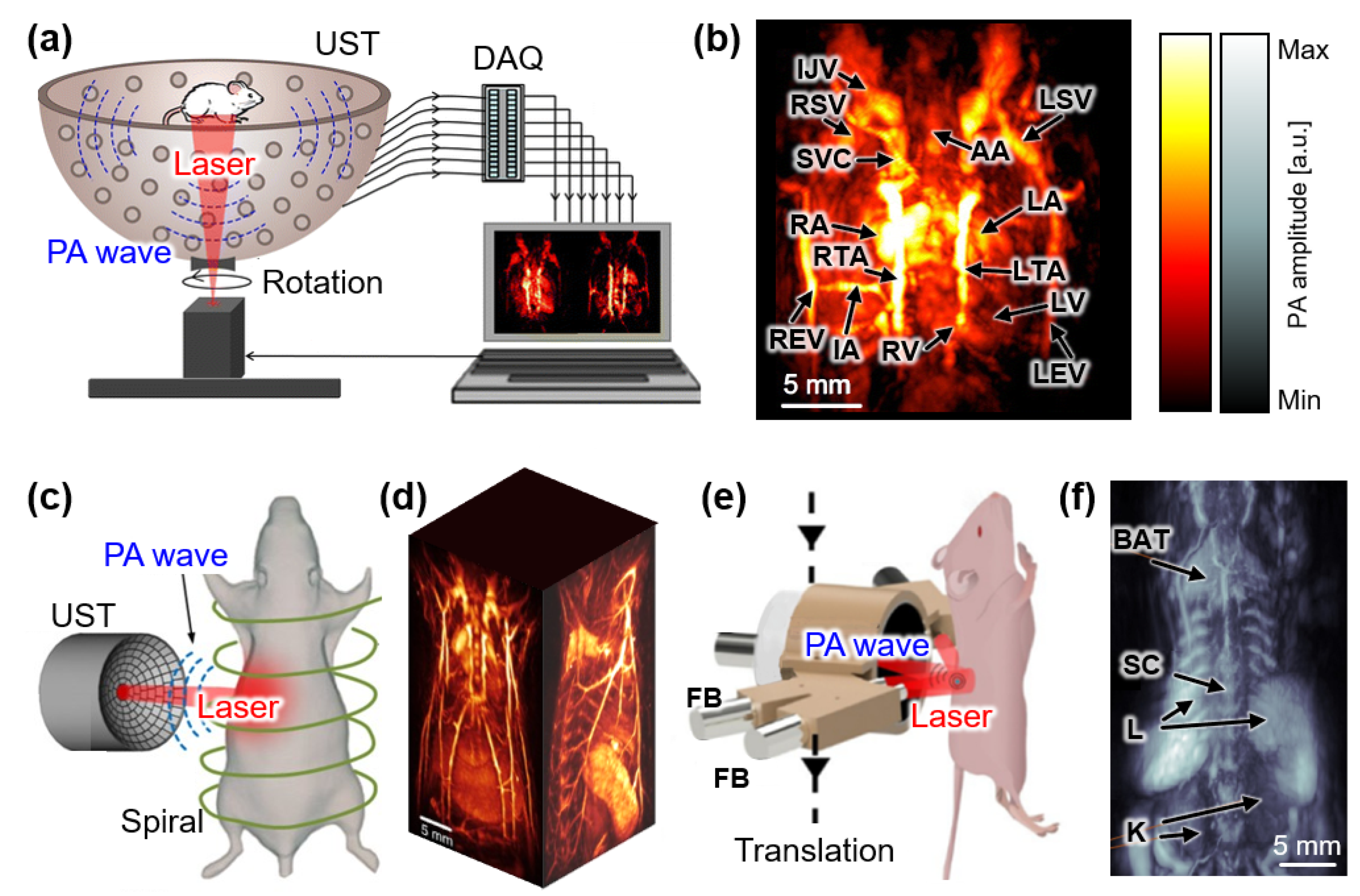 Sensors 22 05130 g005