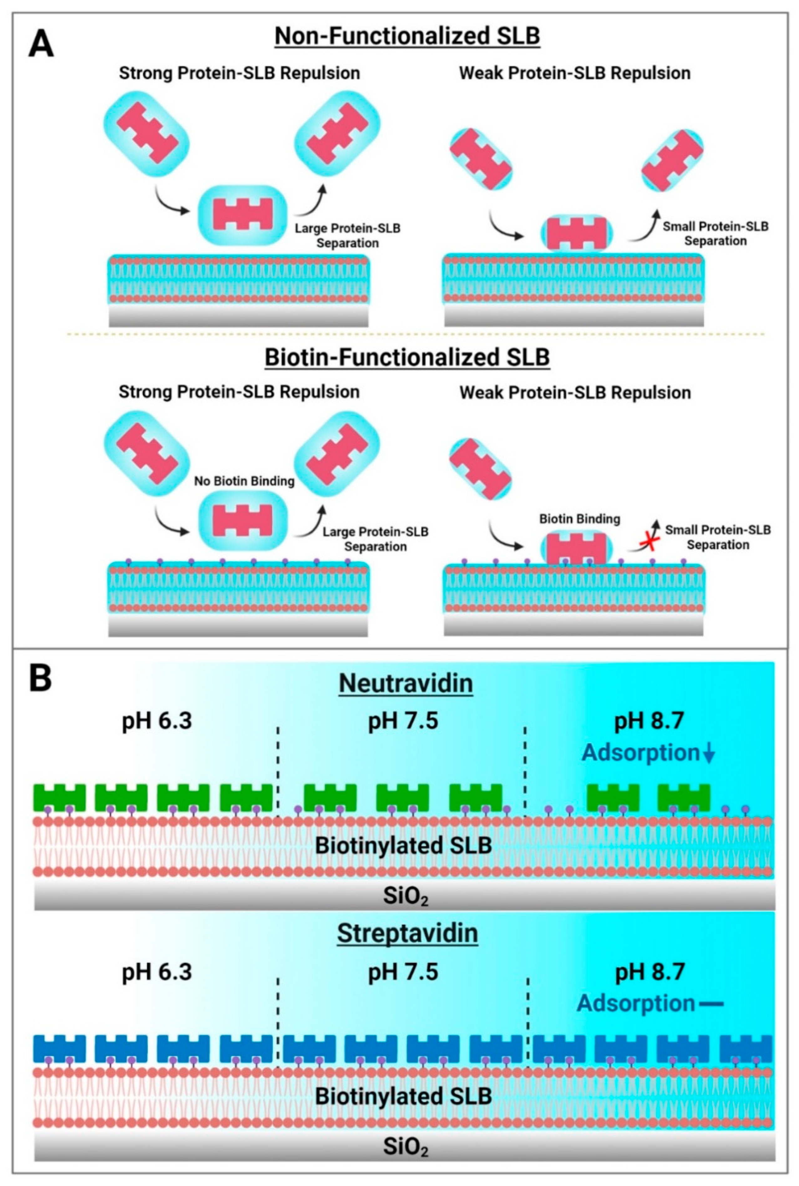 Sensors 22 05185 g007