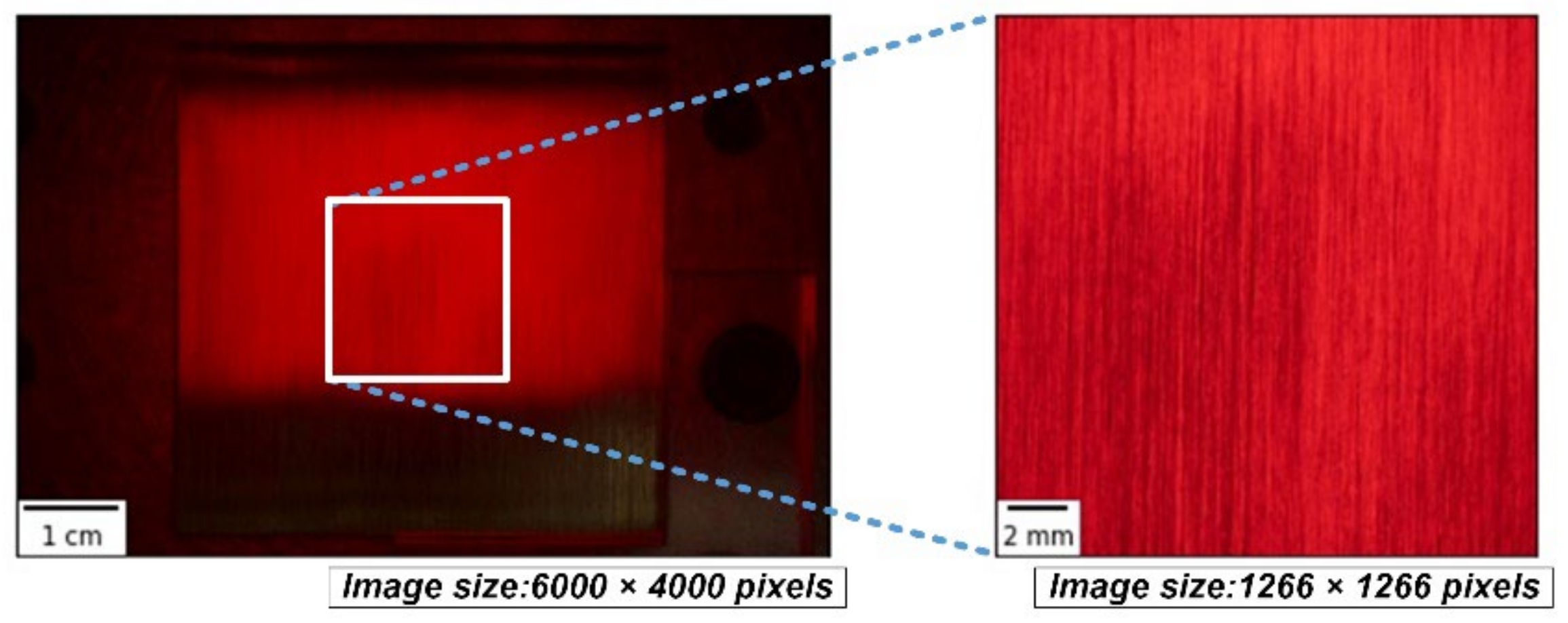 Sensors 22 05192 g004