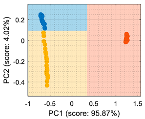 Sensors 22 05262 i009