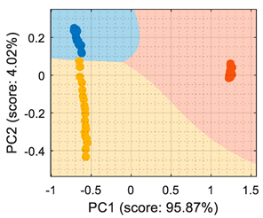 Sensors 22 05262 i011
