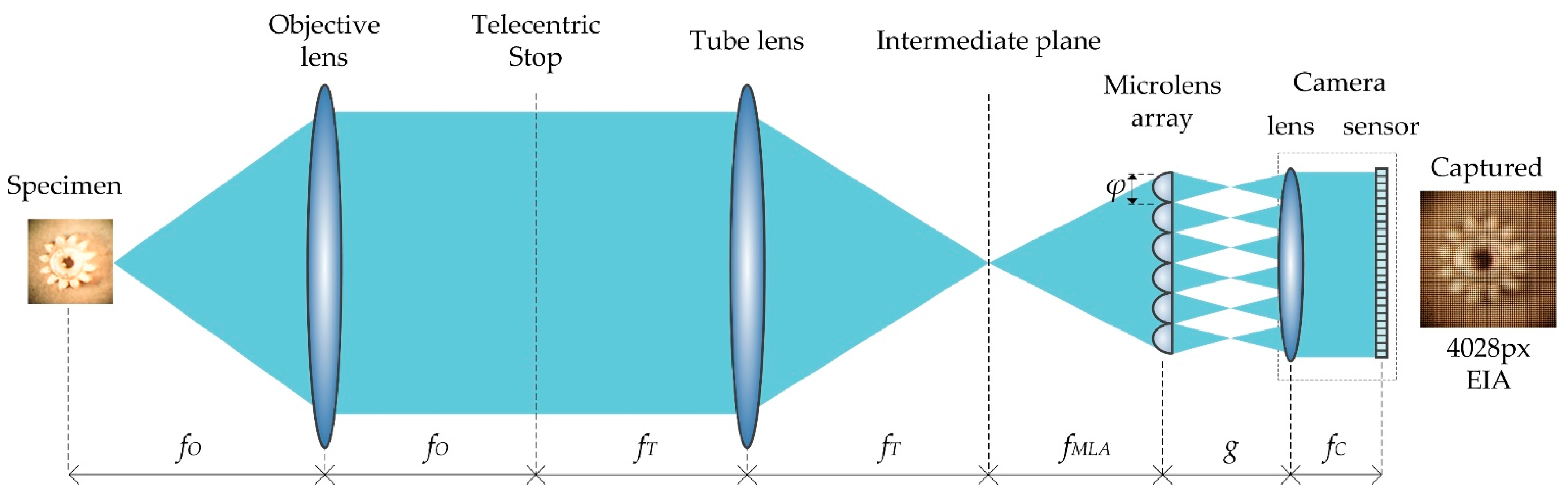 Sensors 22 05288 g001