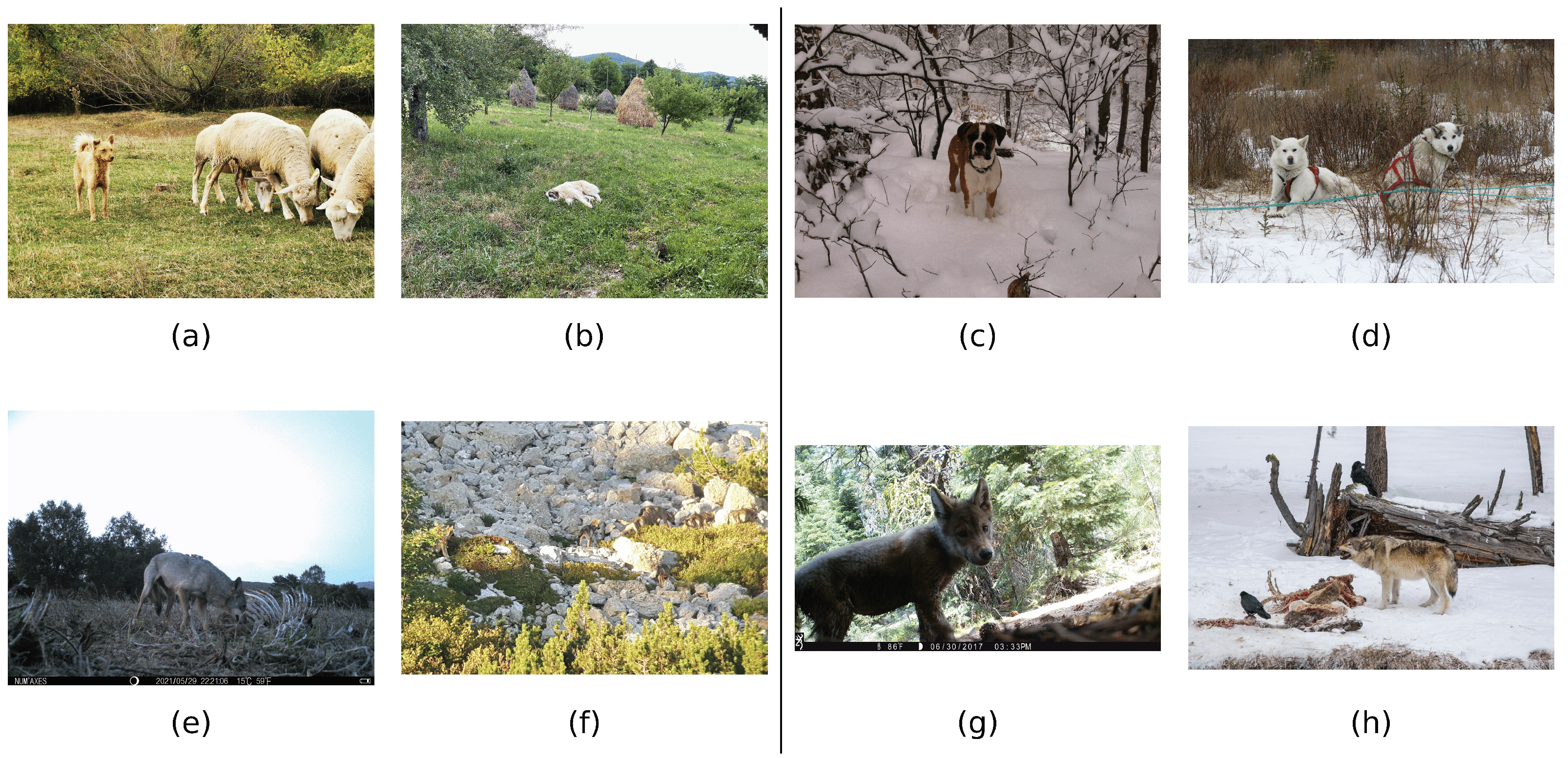 Sensors 22 05321 g004