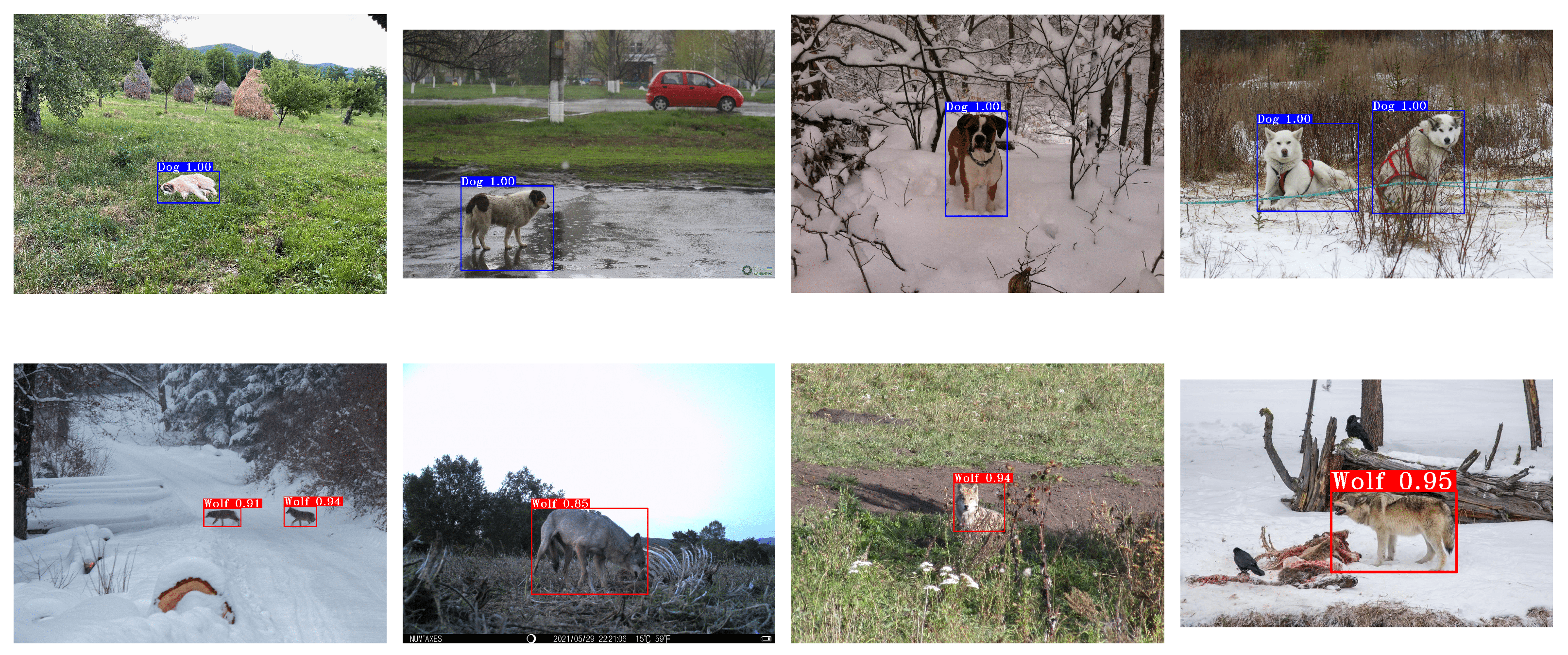 Sensors 22 05321 g010