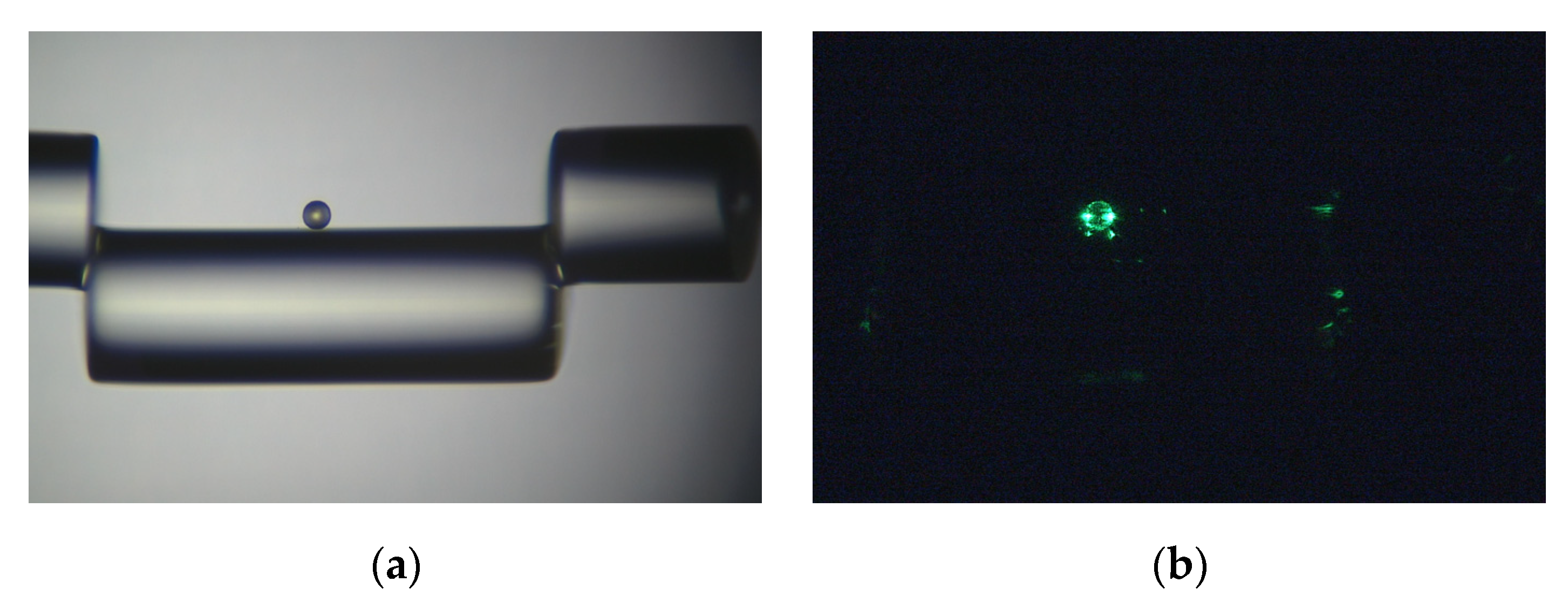 Sensors 22 05328 g006