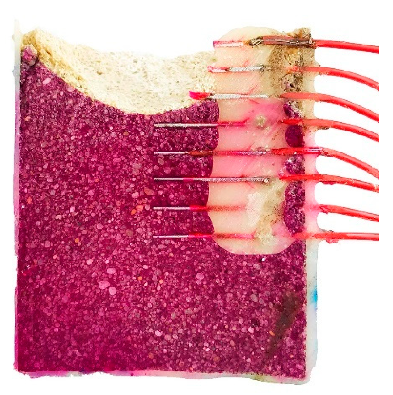 Sensors 22 05356 g011